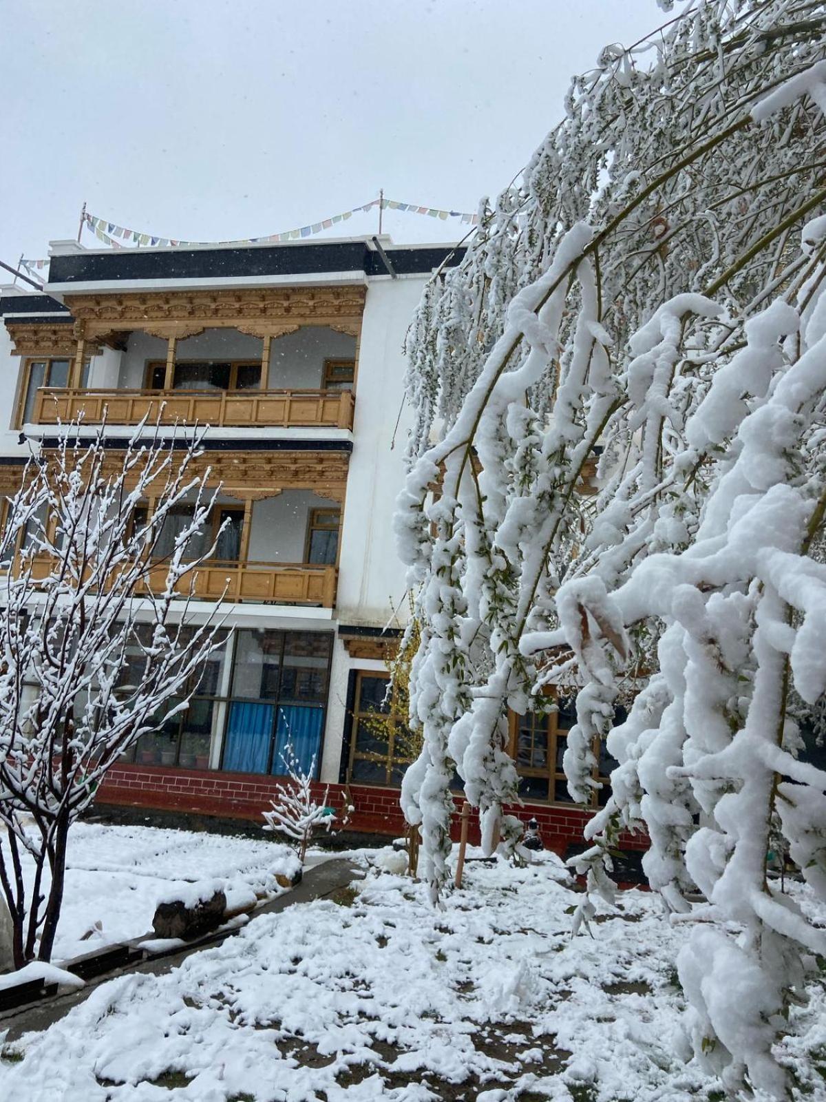 Rock Castle Residency Hotel Leh Bagian luar foto